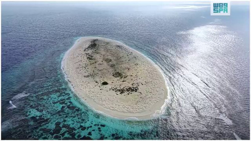 3GnqWt OjO6RKB6L.jpg