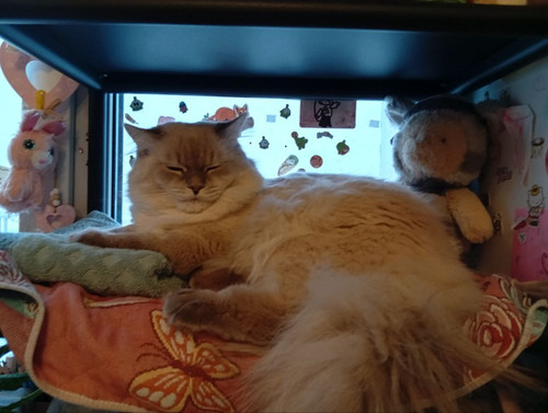 photo 1768423950208.jpg