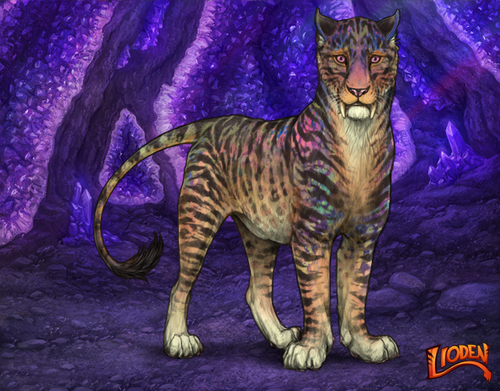 lioden wardrobe 2026 01 14T143821.598.png