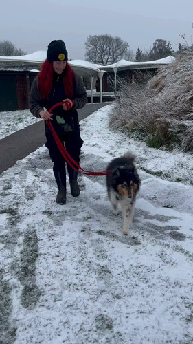 V N 7dUYAqB84bzz.jpg