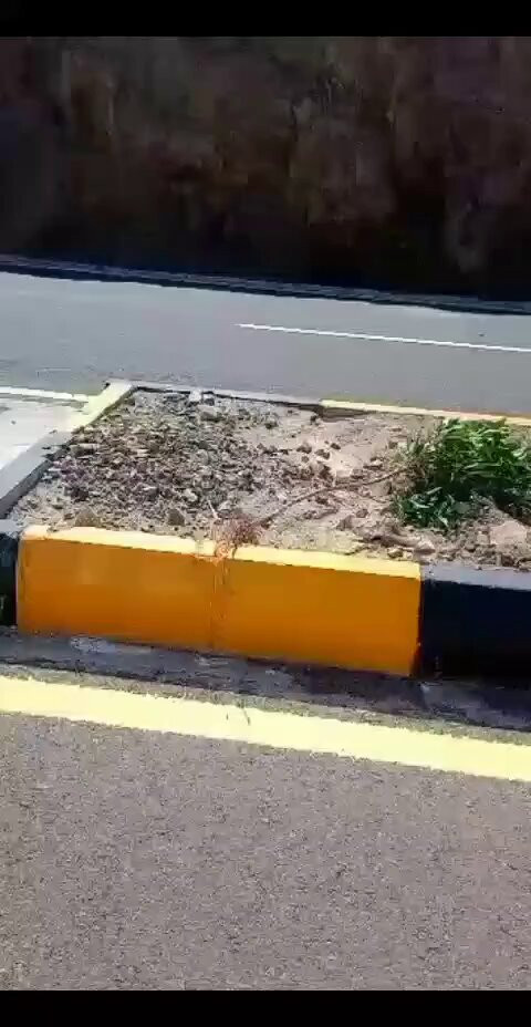 zB608kOo AGH6kNJ.jpg