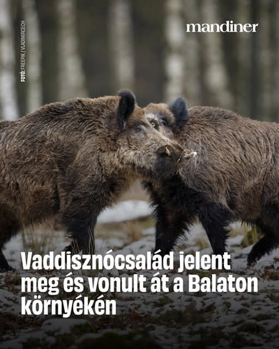 616832455 1385403426931669 5604237337282069540 n.jpg?stp=dst jpg s640x640 tt6& nc cat=110&ccb=1 7& n.jpg