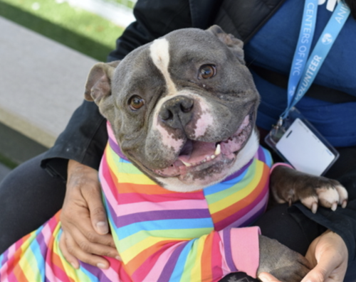 G hJJ43WIAApt3M?format=png.png