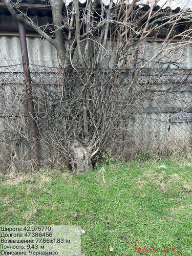 photo 3 2026 01 15 00 20 09.jpg