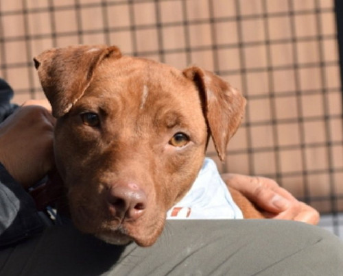 G aOpnPXoAAyO1w?format=jpg.jpg