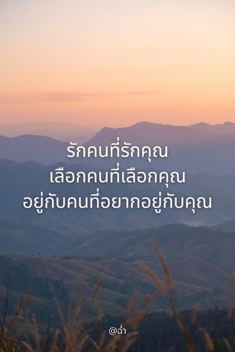 272d26100d70.jpg