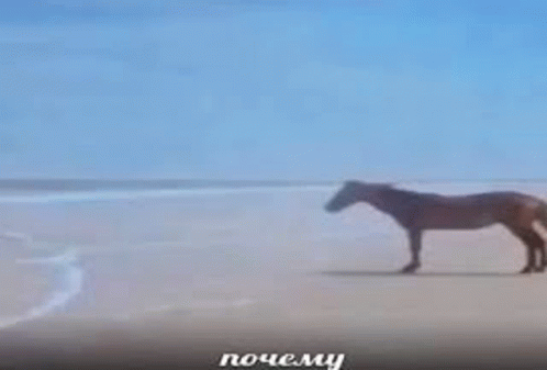image (349).png