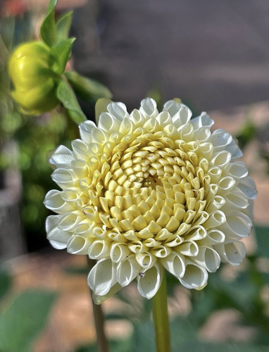 G o8WZ7XoAA pbv?format=jpg.jpg