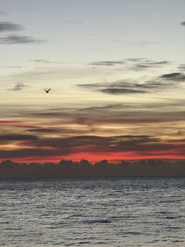 G o9XaLbQAEYluh?format=jpg.jpg