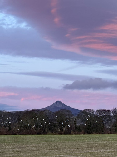 G o9XZ1WQAAUVJa?format=jpg.jpg