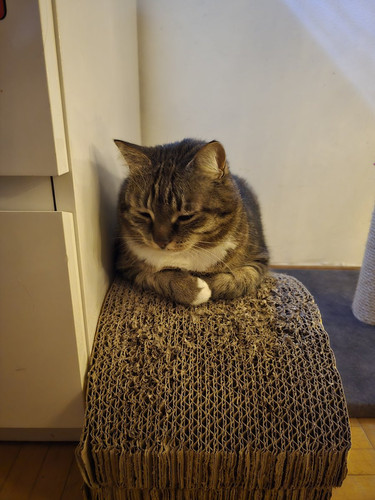 G ooBfTagAAQCEI?format=jpg.jpg