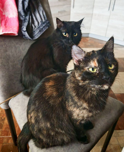 G op1baX0AI9LNI?format=jpg.jpg