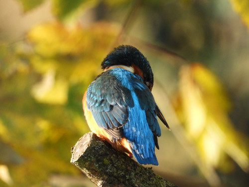 G ndYWBbQAA3hKm?format=jpg.jpg