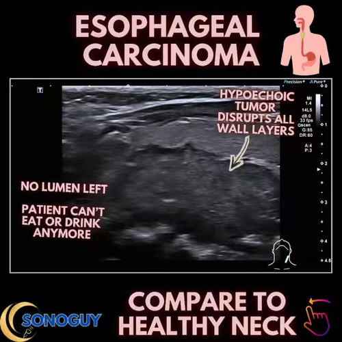 7RoYv MSMsPgrZl .jpg