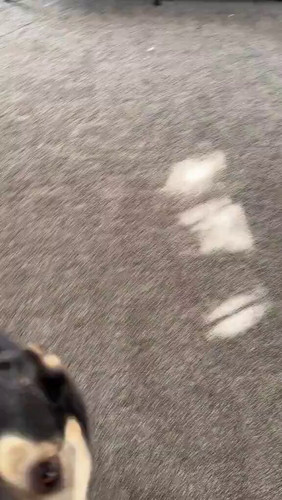 yo0Ph5HFuHs9 aYK.jpg