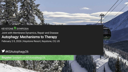 G oeREBWgAAX7Qw?format=jpg.jpg