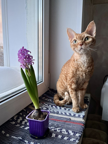 G nWOpwXsAAcZCi?format=jpg.jpg