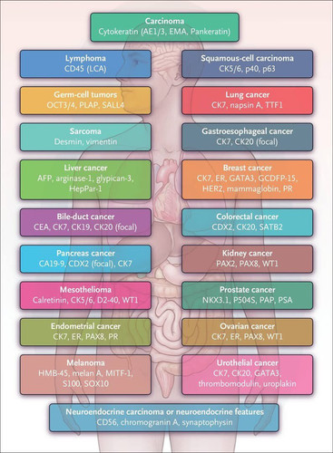 G kreBhXcAEMHMI?format=jpg.jpg