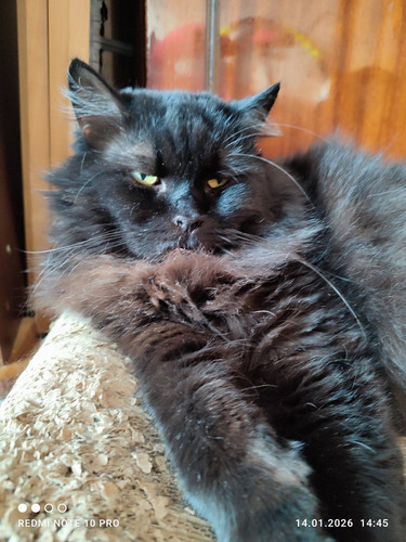 G ny y8XYAAYVik?format=jpg.jpg