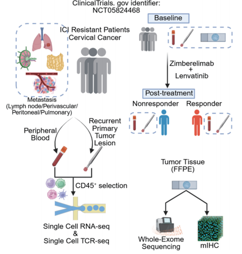 G oiRjkbUAAUBlA?format=png.png