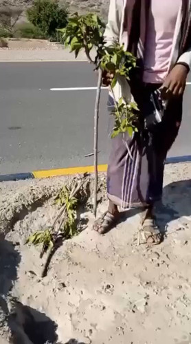 RspD5Gj AWIM53r2.jpg