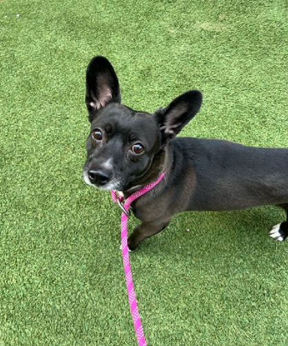 G92ffZAboAAy zH?format=png.png