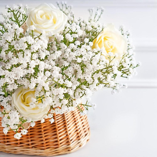 81EEVn2vZvL. AC SL1500 (1).jpg