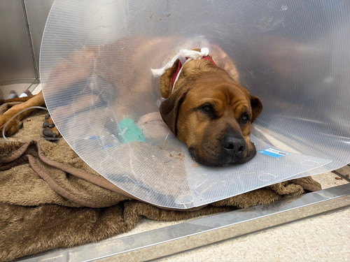 G ouP7tawAAqBCr?format=jpg.jpg