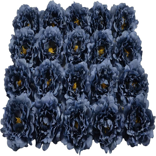 71bmNdz3dNL. AC SL1500 (1).jpg