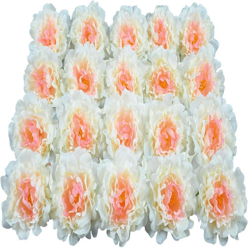 71mXcCuTkGL. AC SL1500 (1).jpg