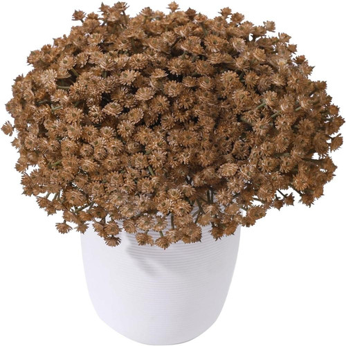 71CI HZ YoL. AC SL1500 (1).jpg