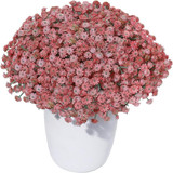 81Ex17K7XAL. AC SL1500 (1).jpg