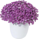 71Us8ZL4bpL. AC SL1500 (1).jpg