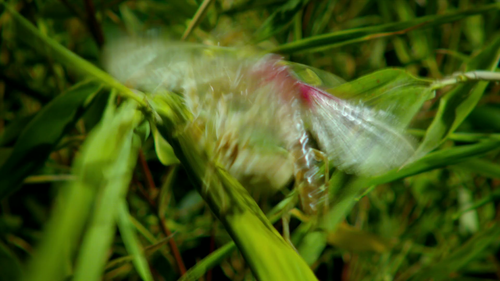 20260115 115628 836504.png