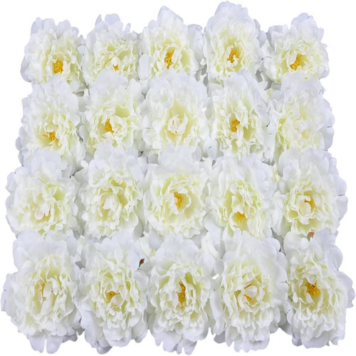 71sKXYTifpL. AC SL1500 (1).jpg