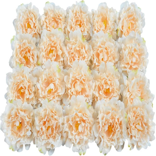 71XUuv bhTL. AC SL1500 (1).jpg