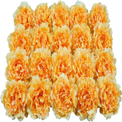 71k5XF72RWL. AC SL1500 (1).jpg