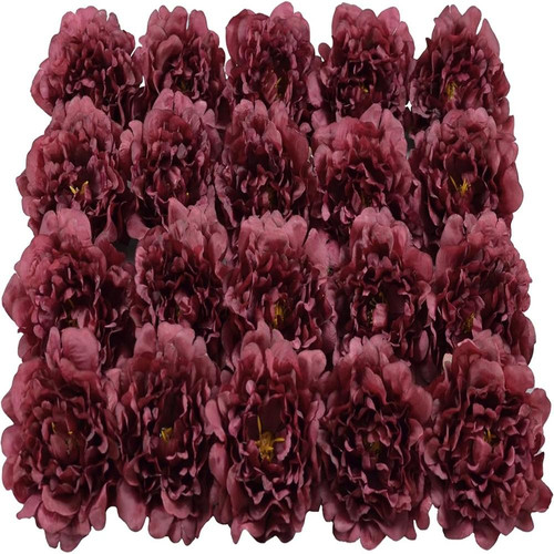 71Fm2xr3LmL. AC SL1500 (1).jpg