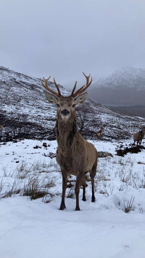 G xstZsbYAE5Lm ?format=jpg.jpg