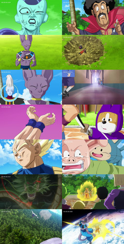 IMG 20260116 190031 874.jpg