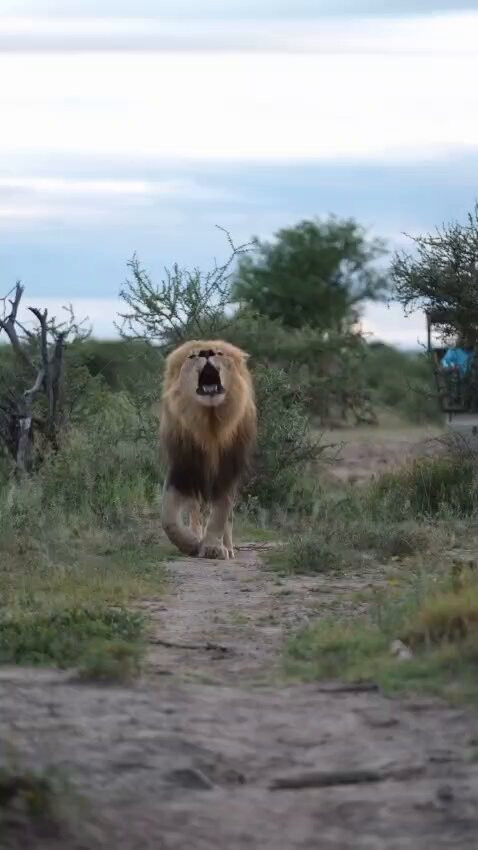 yF GngmVlhCelugS.jpg