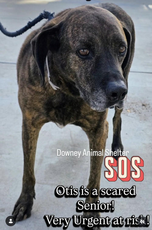 G qKFvXXsAAG7aa?format=jpg.jpg