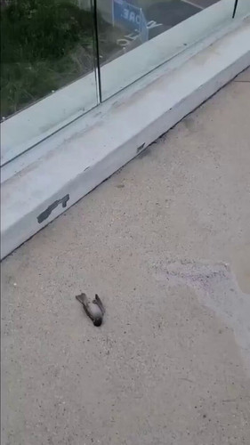 RJfC6 Wl3Bld0mIR.jpg