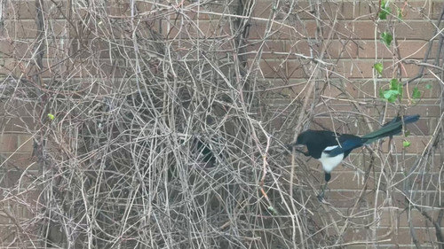 5z6 YsFs0vBttz P.jpg