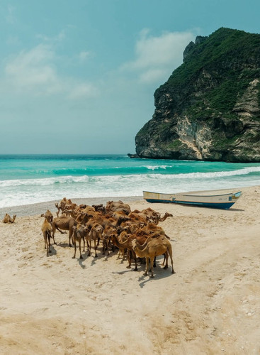 G xjgmda4AAx8nD?format=jpg.jpg