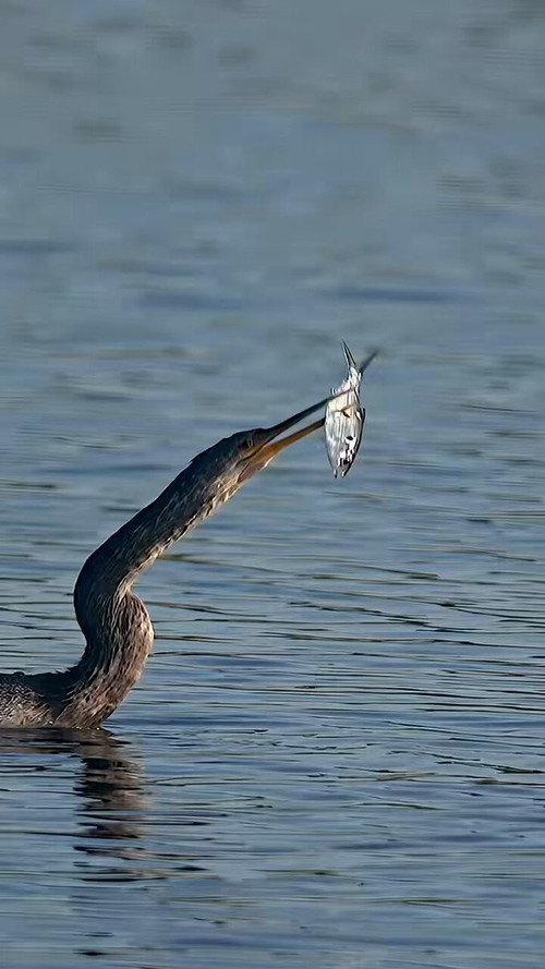 PC39iSHqJ 8Mr7ag.jpg