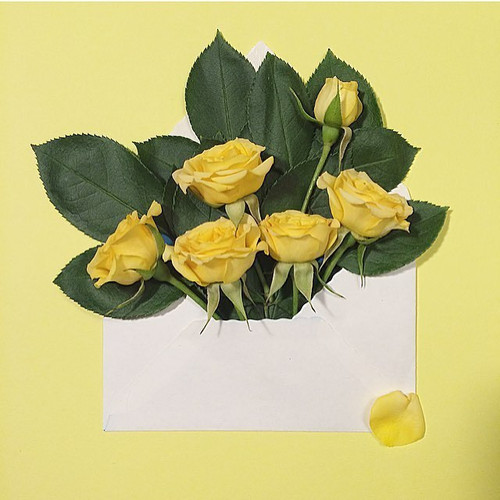 G tf4xaXkAA7Axe?format=jpg.jpg