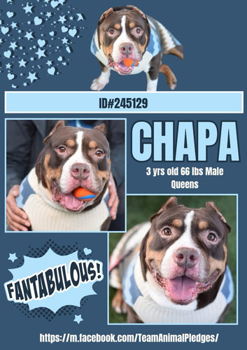 G optLYWEAAbU0e?format=jpg.jpg