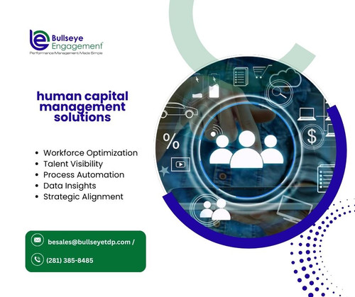 human capital management solutions.jpg