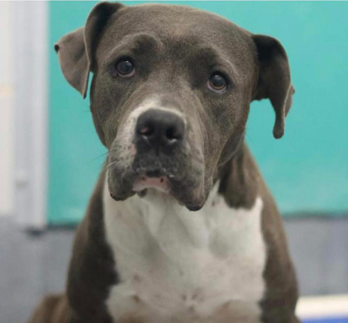 G lW12NXQAA PaB?format=jpg.jpg